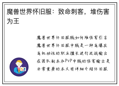 魔兽世界怀旧服：致命刺客，堆伤害为王